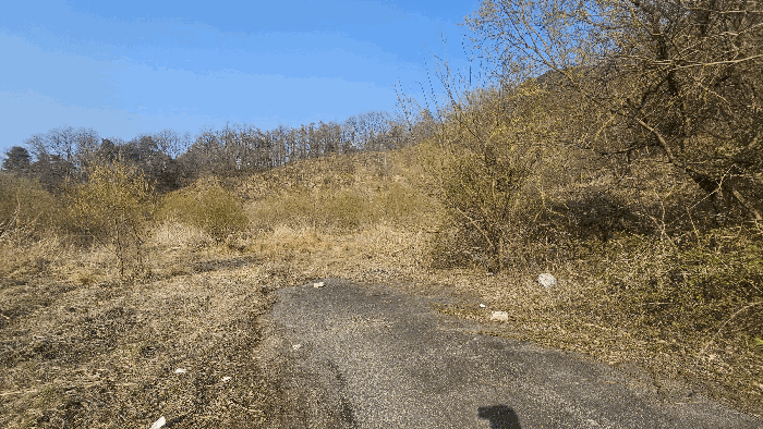 일련번호 2) 전경