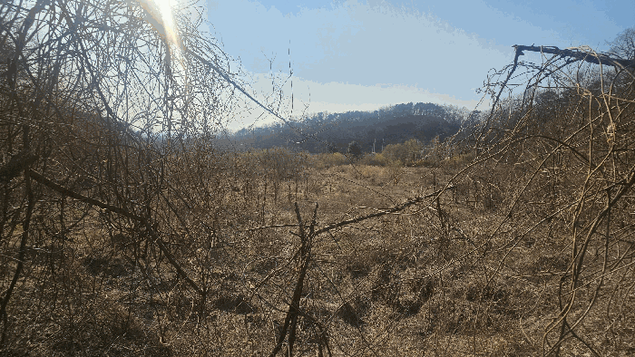 일련번호 1) 전경_4