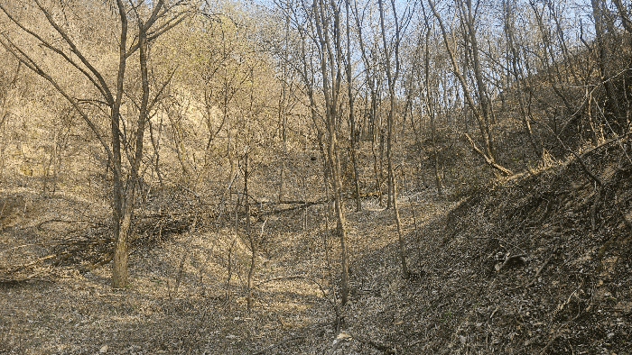 일련번호 1) 전경_3