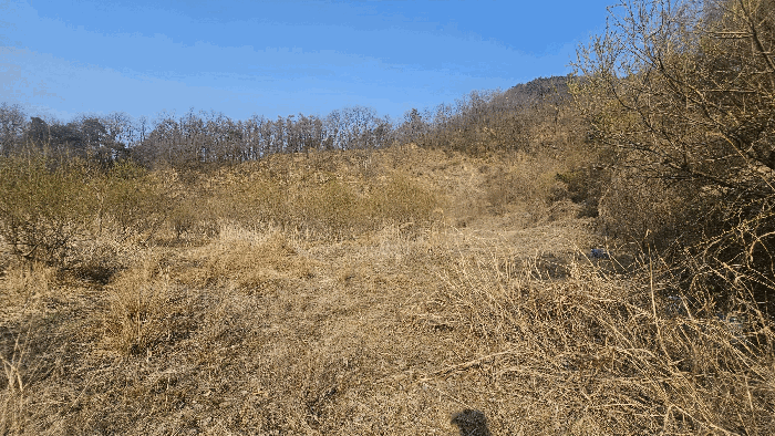 일련번호 1) 전경_1