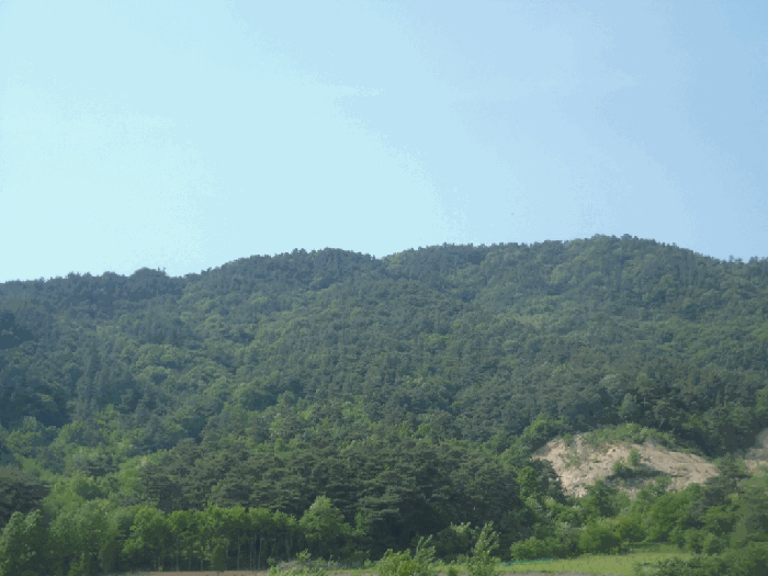 일련번호 15 전경