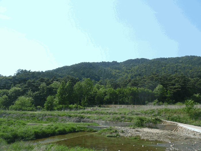 일련번호 1 전경