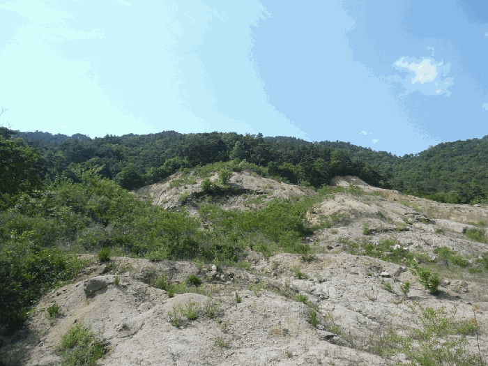 일련번호 2,3 전경