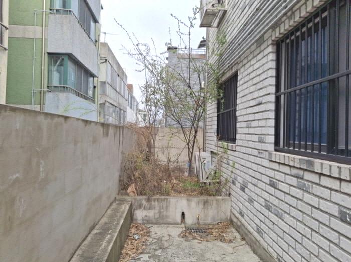 제시외 수목 모습