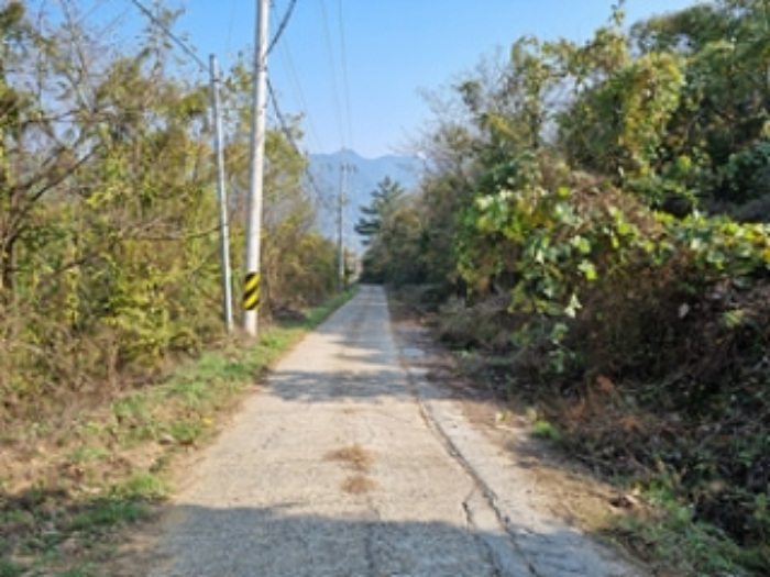 본건 토지 사이로 개설되어 있는 도로 전경