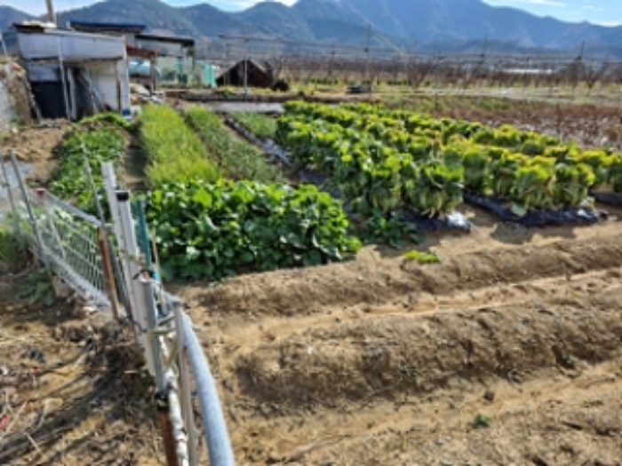 목록 1 지상의 농작물 전경