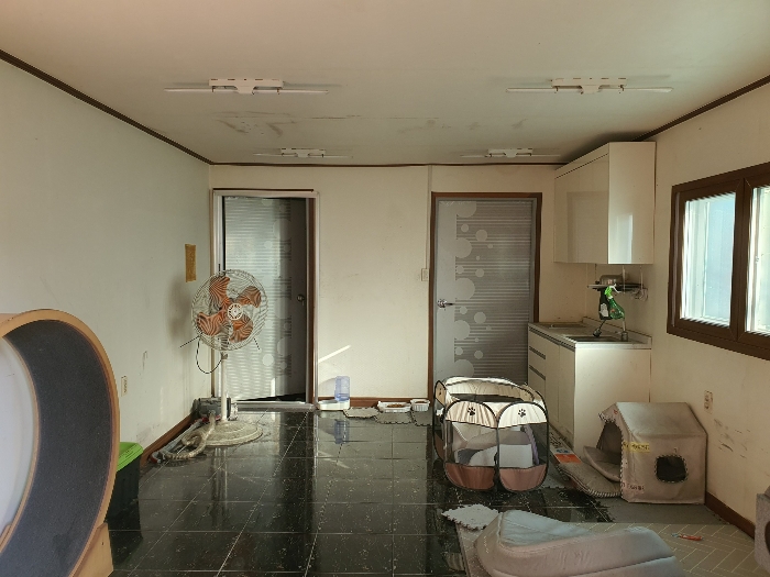 [제시외 건물 : 일련번호 (ㄴ) 내부]