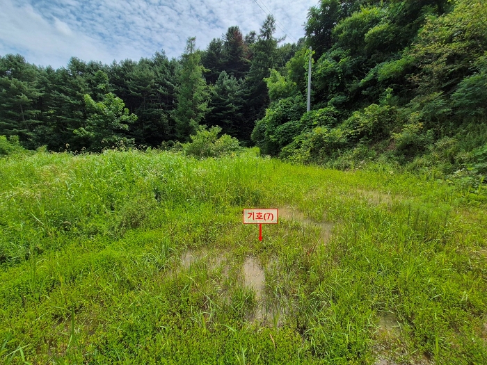 본건 기호(7) 1종일주 부분 전경