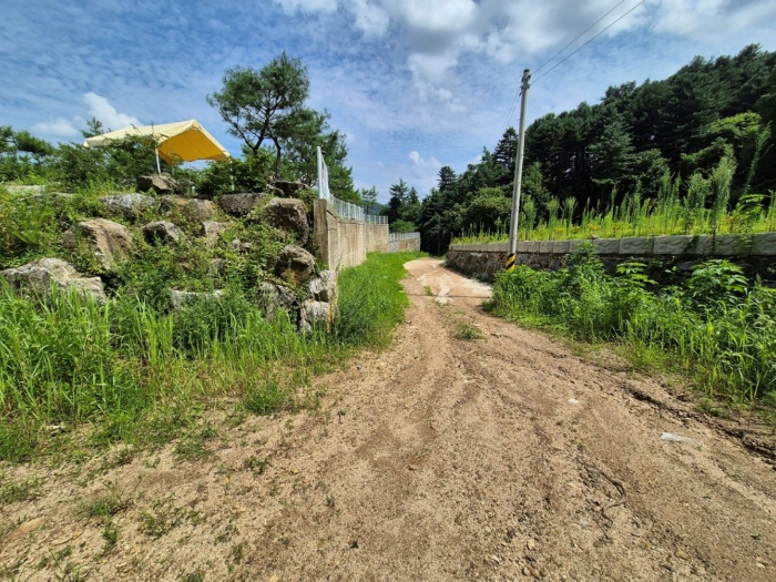 본건 진출입로 및 주변 전경