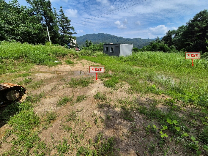 본건 기호(5,7) 전경