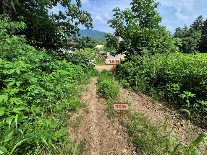 본건 기호(5,6) 전경