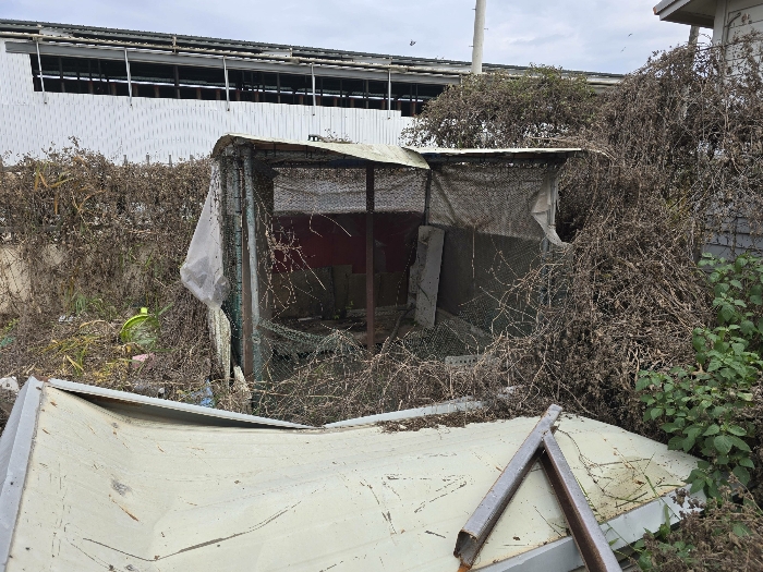 제시외 건물 ㅇ) 전경