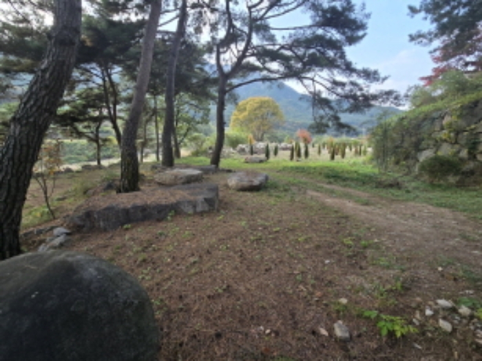 용산리 산 35-8 전경