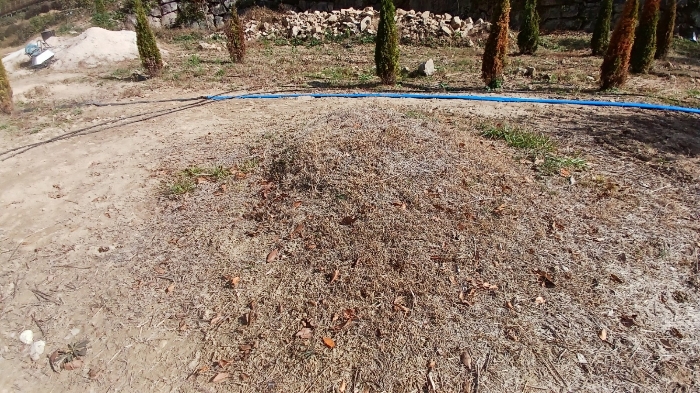 기호(3),(6)토지 양 지상 소재 분묘