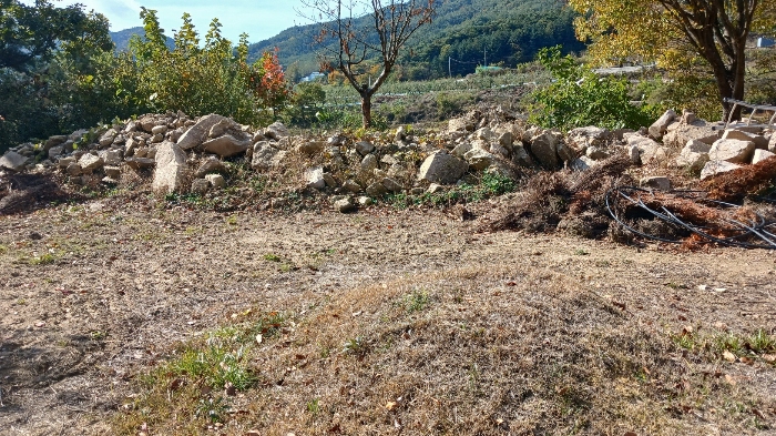 기호(6) 토지전경