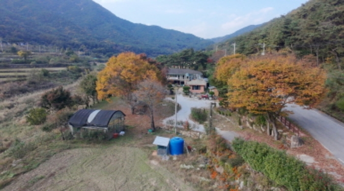 용산리 928,산 35-9,927-2,927-1 전경