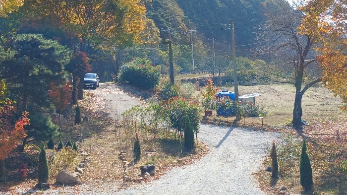 기호(7) 토지전경