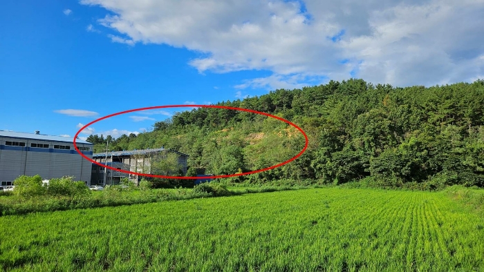남측→북측 원경