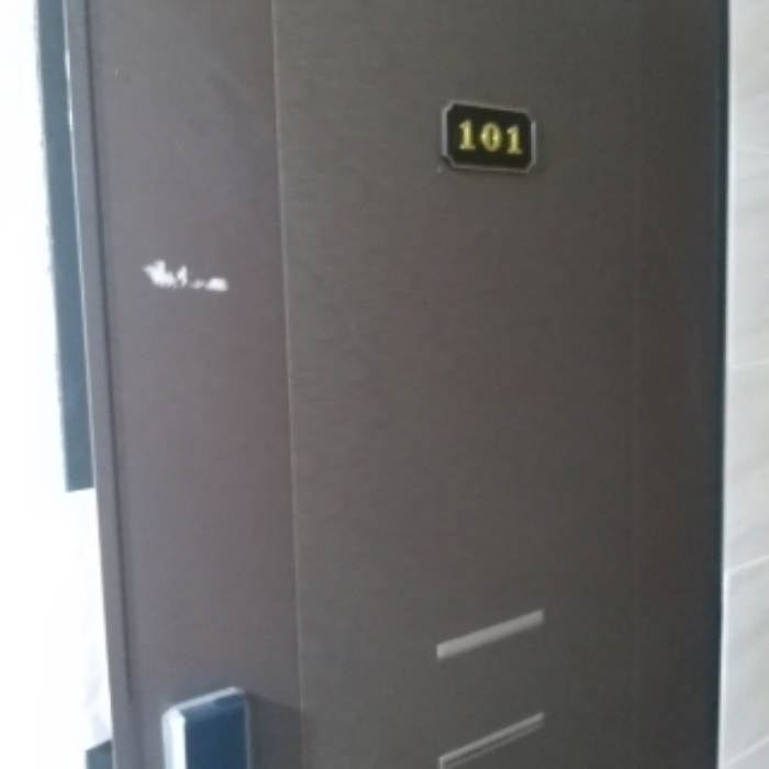 세대 출입문(101호)