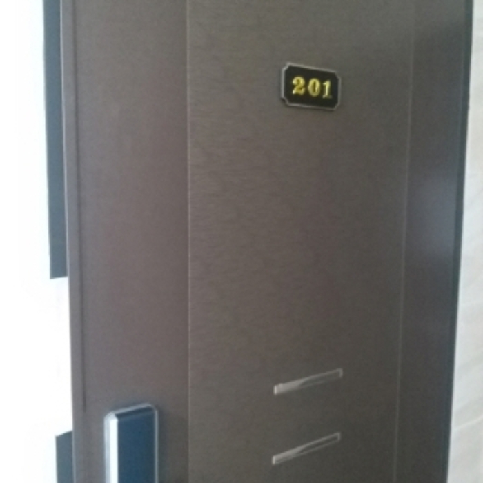 세대 출입문(201호)