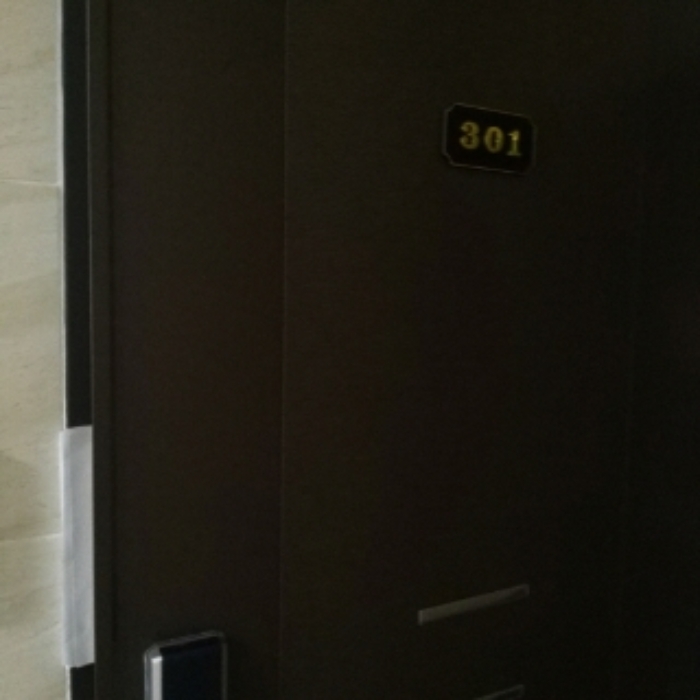 세대 출입문(301호)