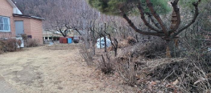 주택 마당 전경