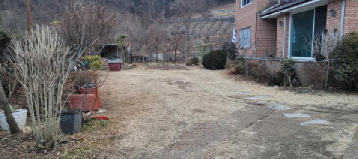 주택 마당 전경