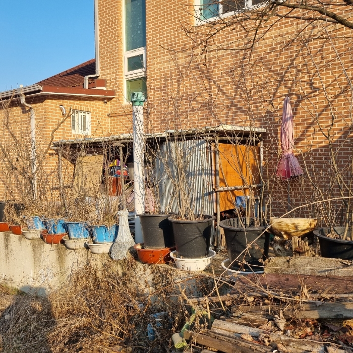 제시외 건물 ㄴ)