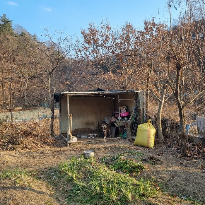 제시외 건물 ㄷ)