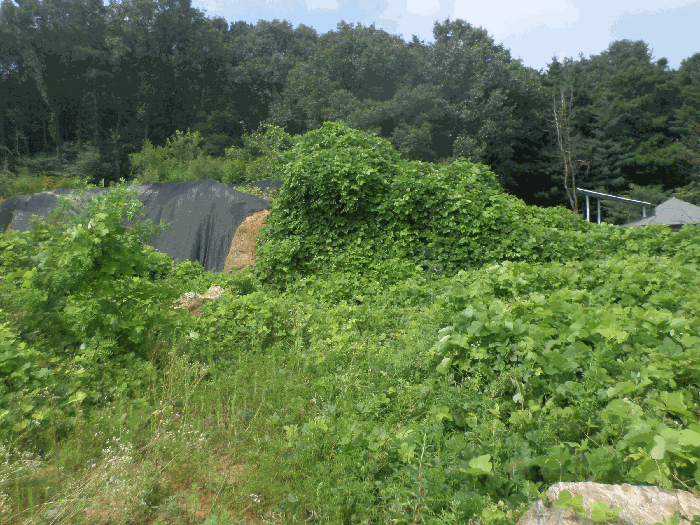 기호1 토지 북측 부분