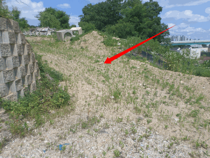 기호3 토지의 우측 개설 중인 도로