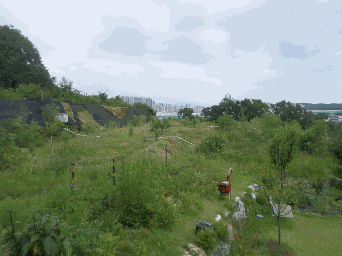 본 토지 전경(북서측에서 촬영)