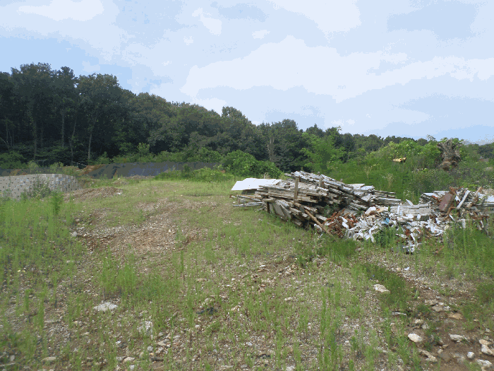 기호1 토지 중앙 부분