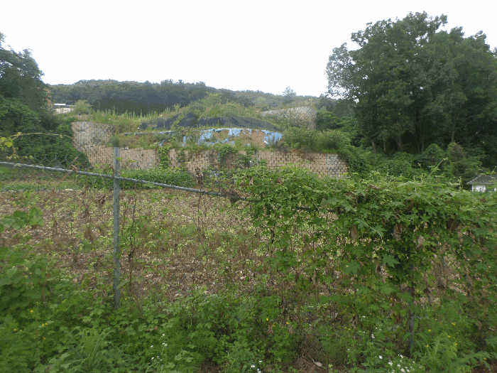 기호2 토지(남동측 부분)