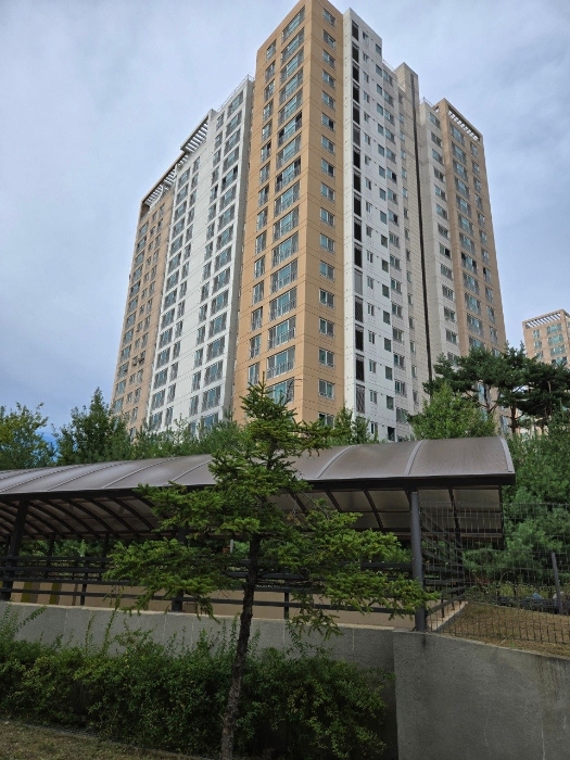 본건 소재동 전경