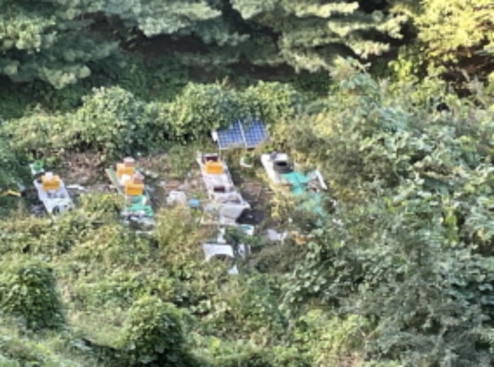 현장사진(양봉 벌통)