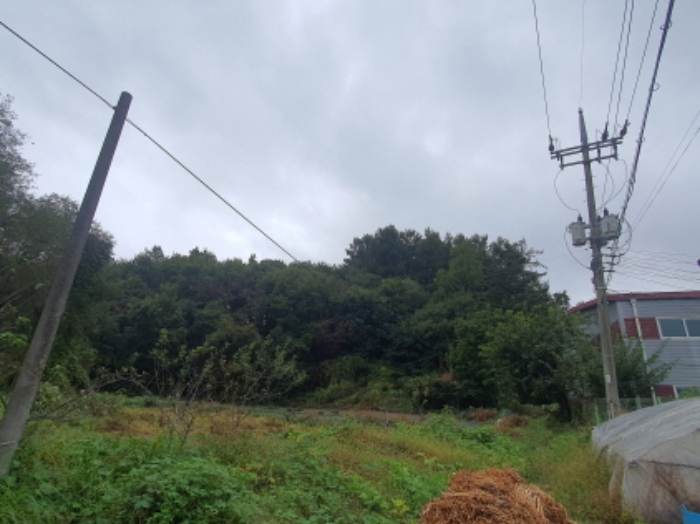 현장사진(토지: 삼합리 221-5 부근 전경)