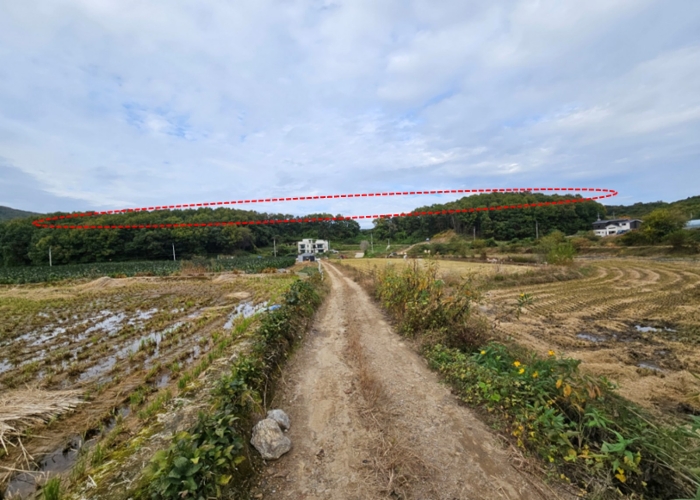본건 전경(남서쪽에서 촬영)