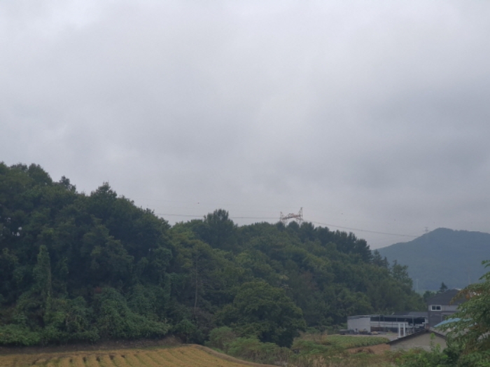 현장사진(토지 전경)