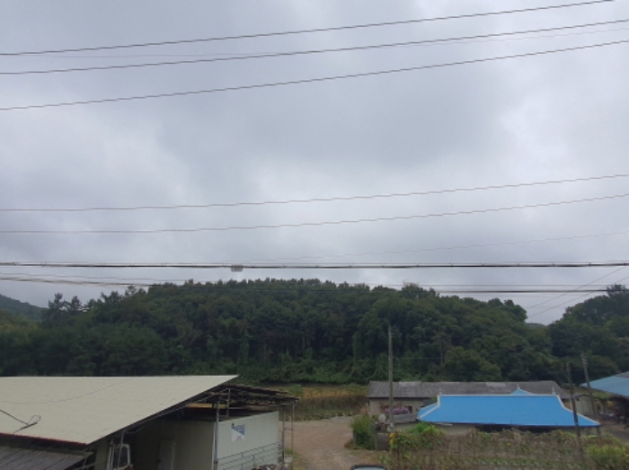 현장사진(토지 전경)