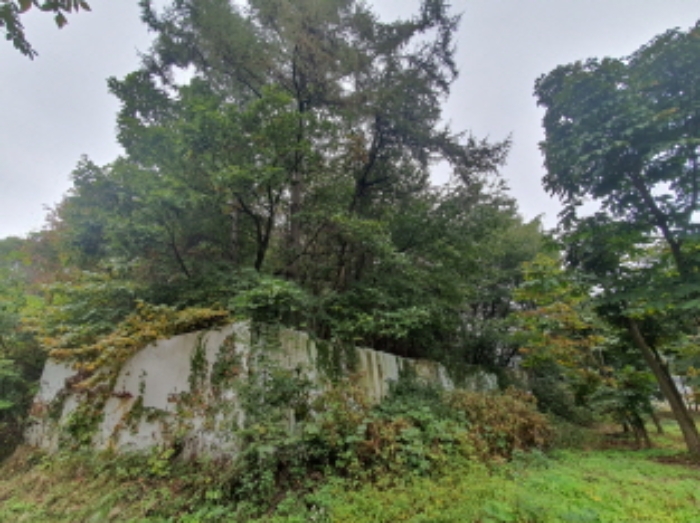 현장사진(토지: 삼합리 221-1, 221-2 부근 전경)