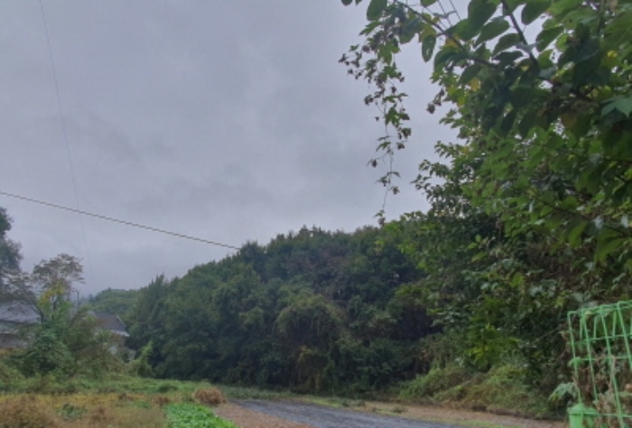 현장사진(토지: 삼합리 221-5 부근 전경)