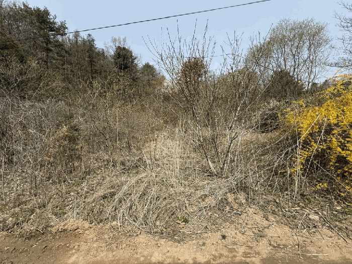 본건전경-기호(6)