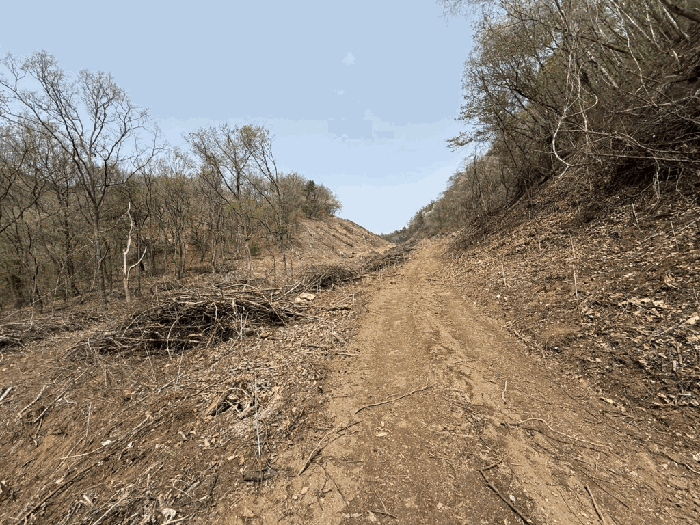 본건전경-기호(19)