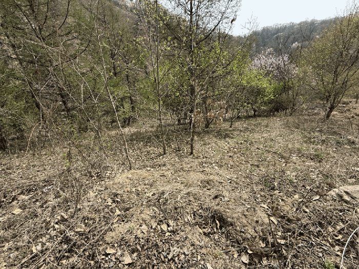 본건전경-기호(4)