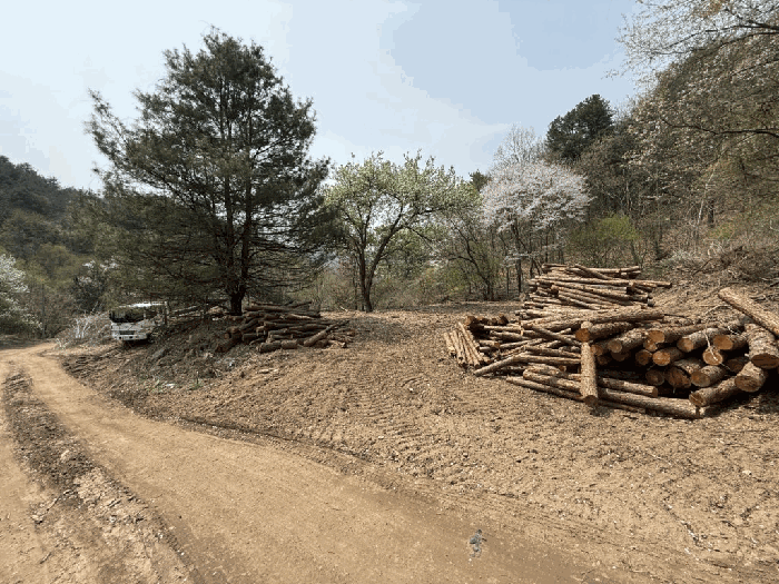 본건전경-기호(6)