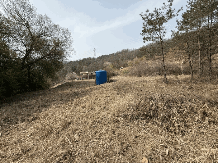 본건전경-기호(12)