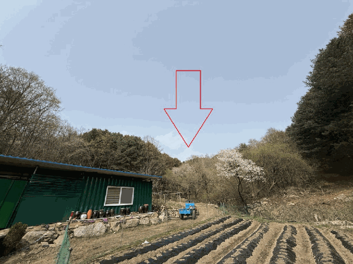 본건원경-기호(18)