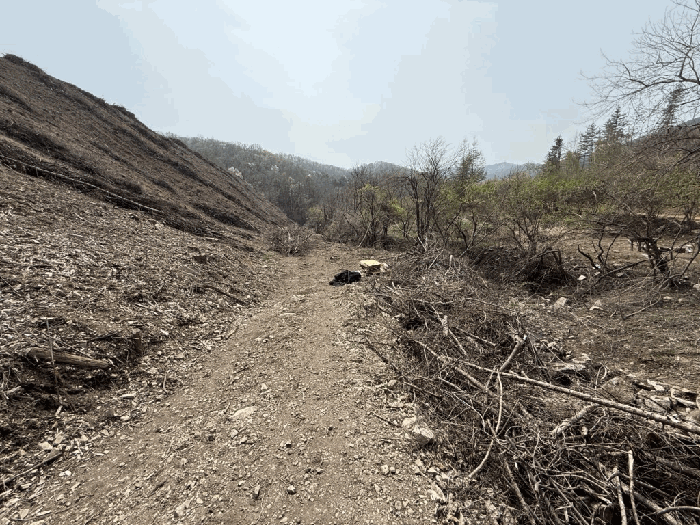 본건전경-기호(3)