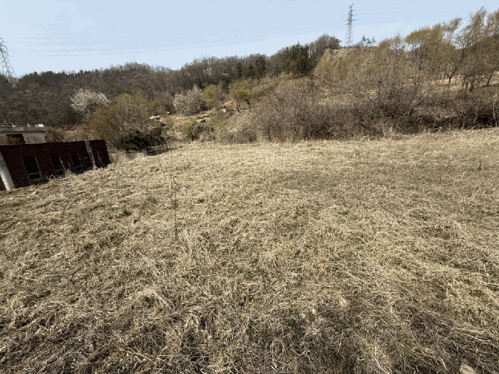 본건전경-기호(11)